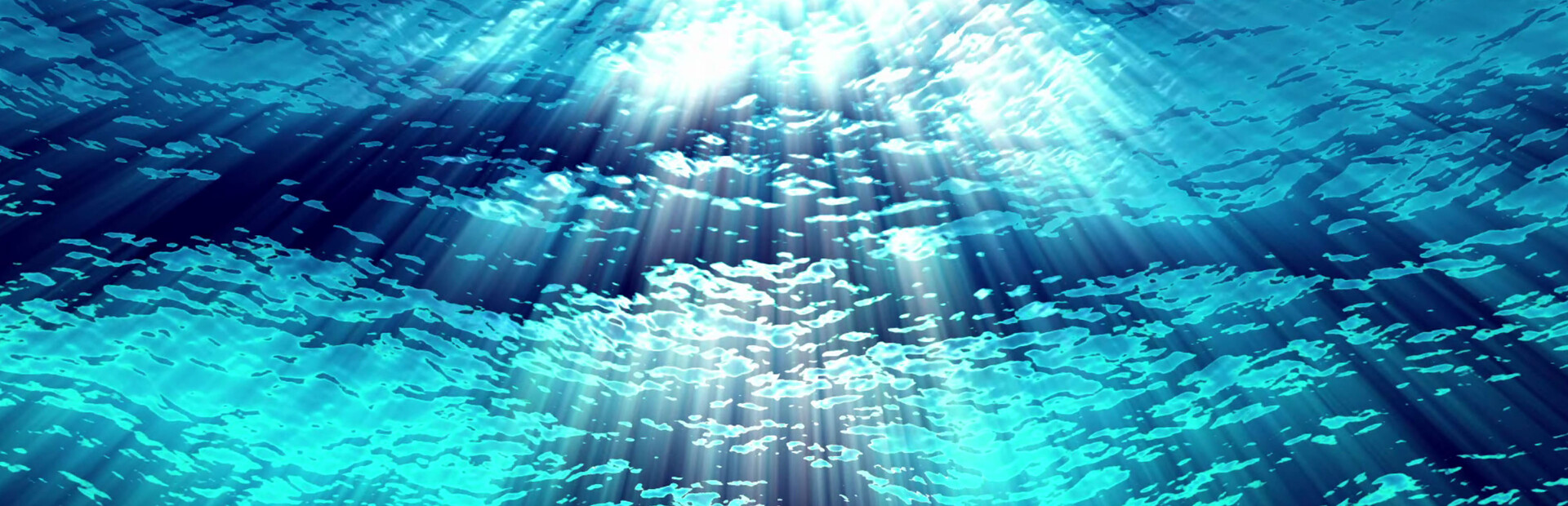 Library Hero - Steam library hero banner