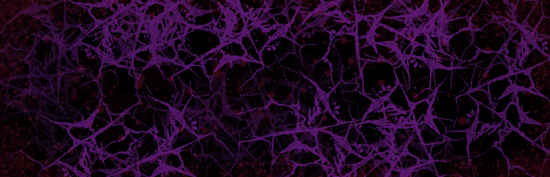 Library Hero - Steam library hero banner