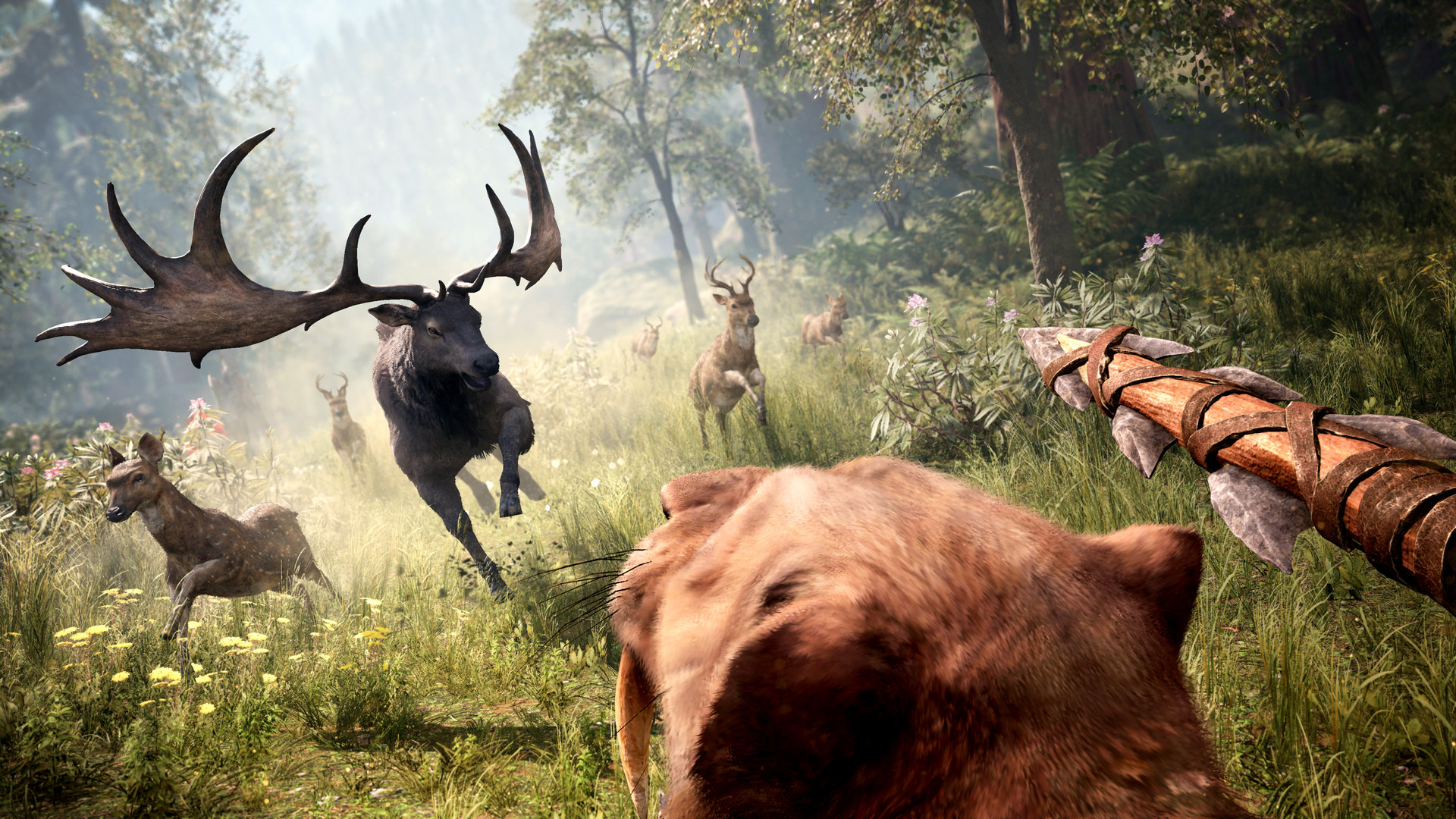 Save 75% on Far Cry® Primal on Steam