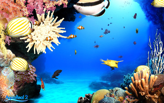 скриншот DigiFish Aqua Real 2 3