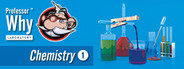 Professor Why™ Chemistry 1