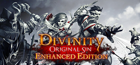 Divinity: Original Sin - Enhanced Edition Cover Image