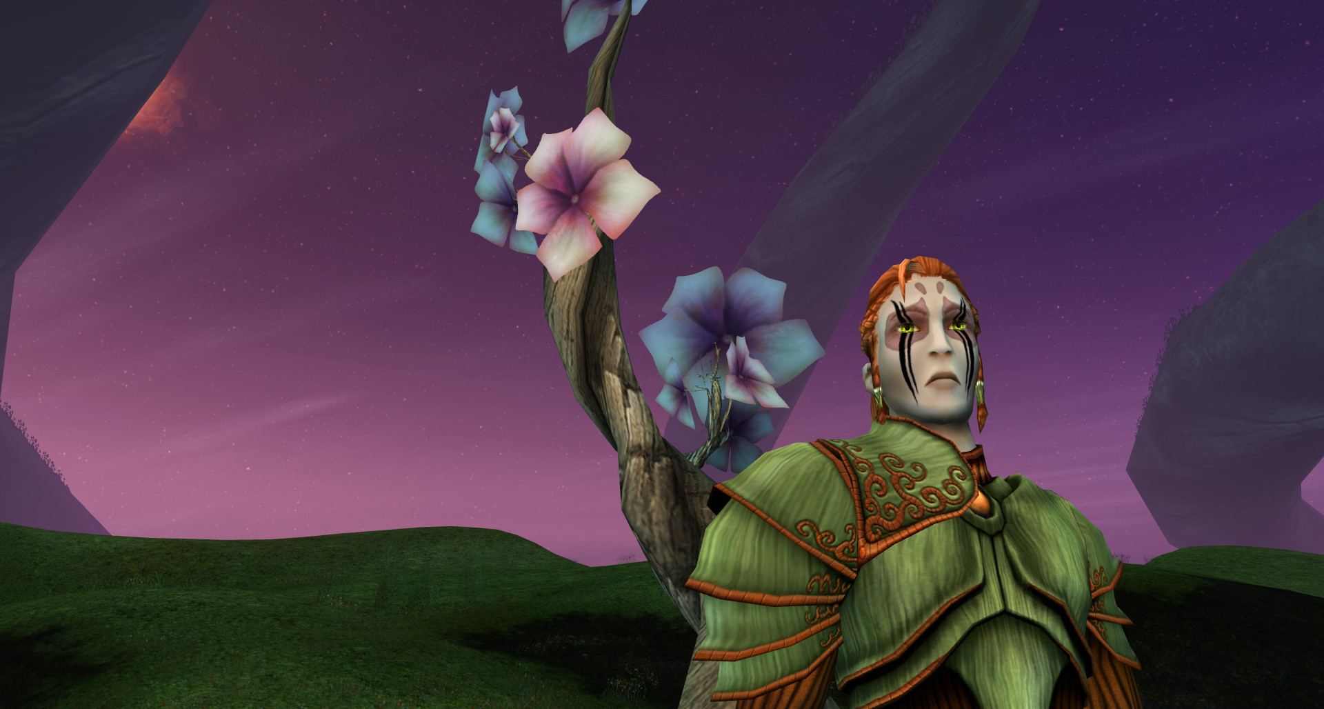 Ryzom screenshot 26