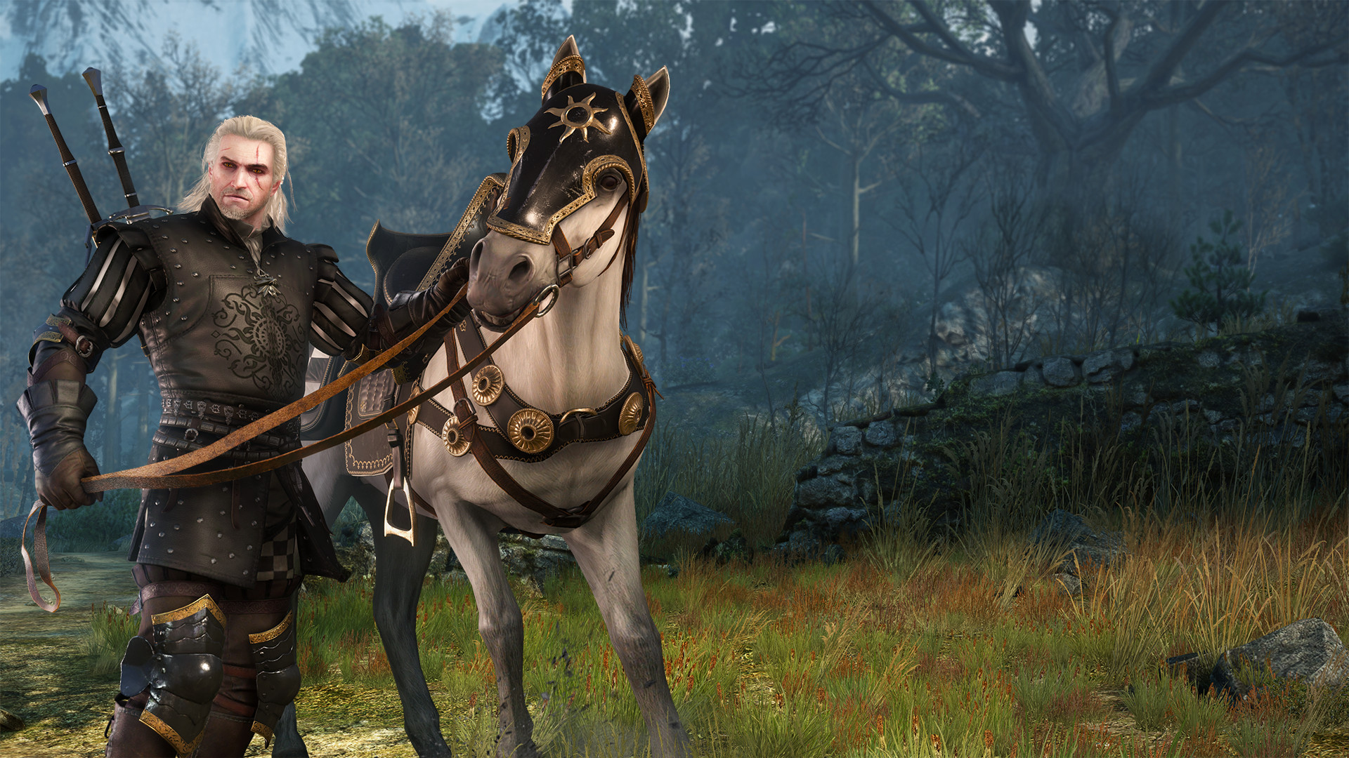 The Witcher 3: Wild Hunt - Nilfgaardian Armor Set Featured Screenshot #1