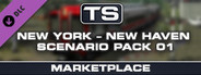 TS Marketplace: New York – New Haven Scenario Pack 01 Add-On