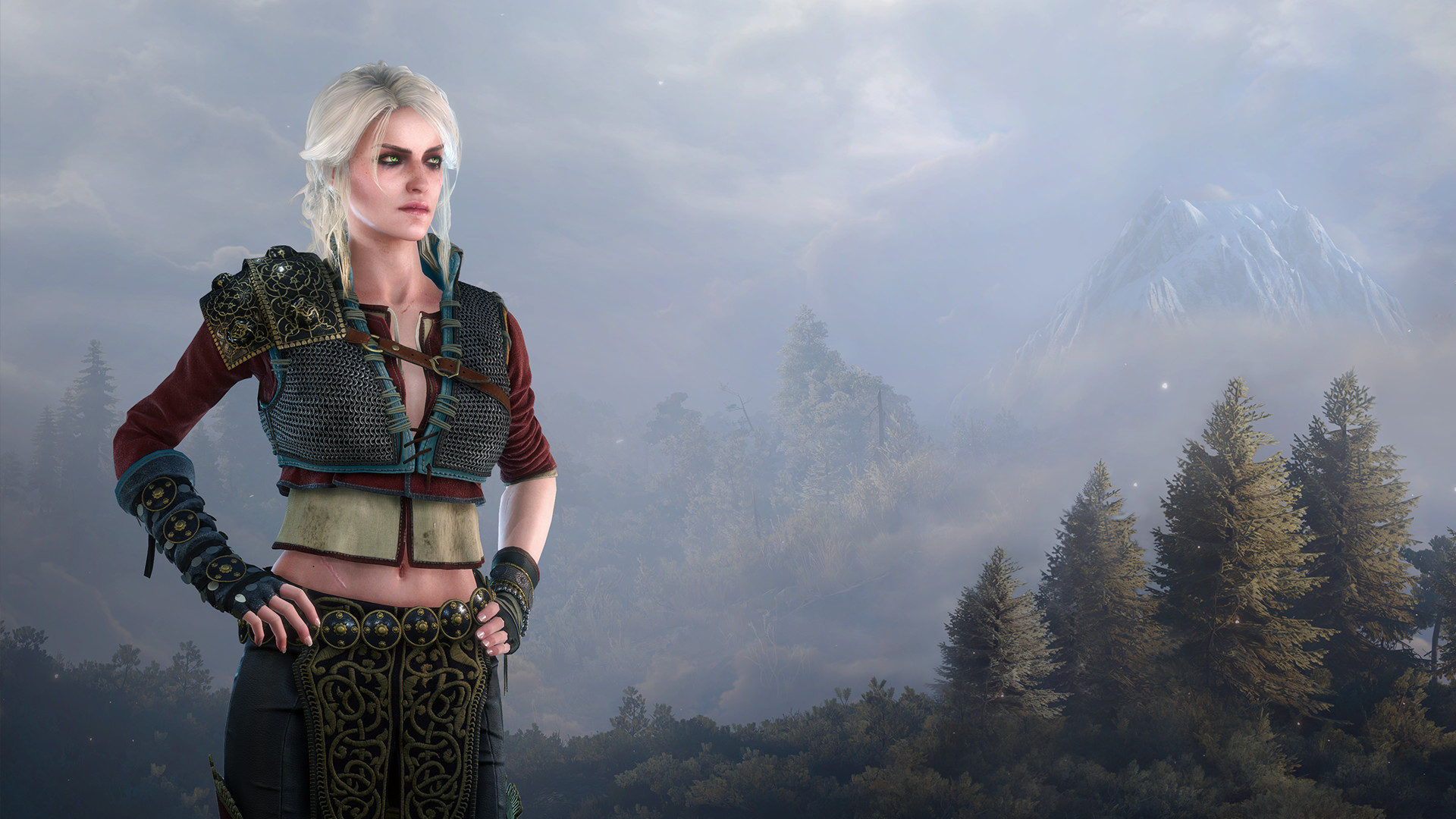 Ciri, The Witcher Wiki