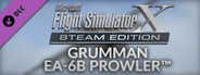 FSX: Steam Edition - Grumman EA-6B Prowler™ Add-On
