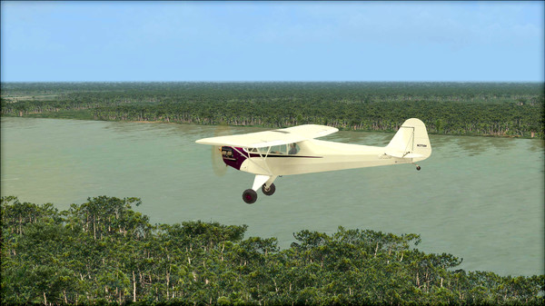 FSX: Steam Edition - Natural Tree Environment X Add-On