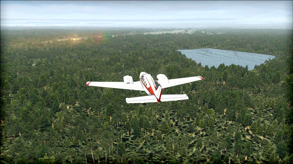 FSX: Steam Edition - Natural Tree Environment X Add-On for steam FSX: Steam Edition - Natural Tree Environment X Add-On for steam