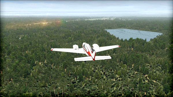 скриншот FSX: Steam Edition - Natural Tree Environment X Add-On 0