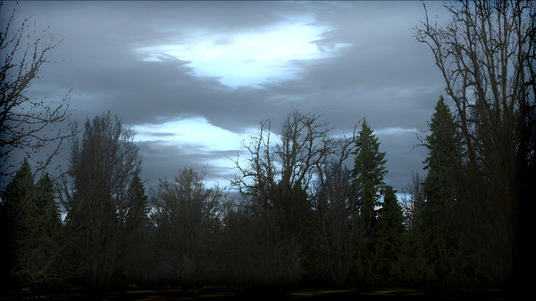 скриншот FSX: Steam Edition - FTX Trees HD Add-On 4