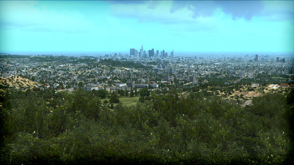 FSX: Steam Edition - FTX Trees HD Add-On