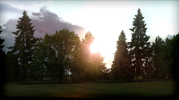 скриншот FSX: Steam Edition - FTX Trees HD Add-On 3