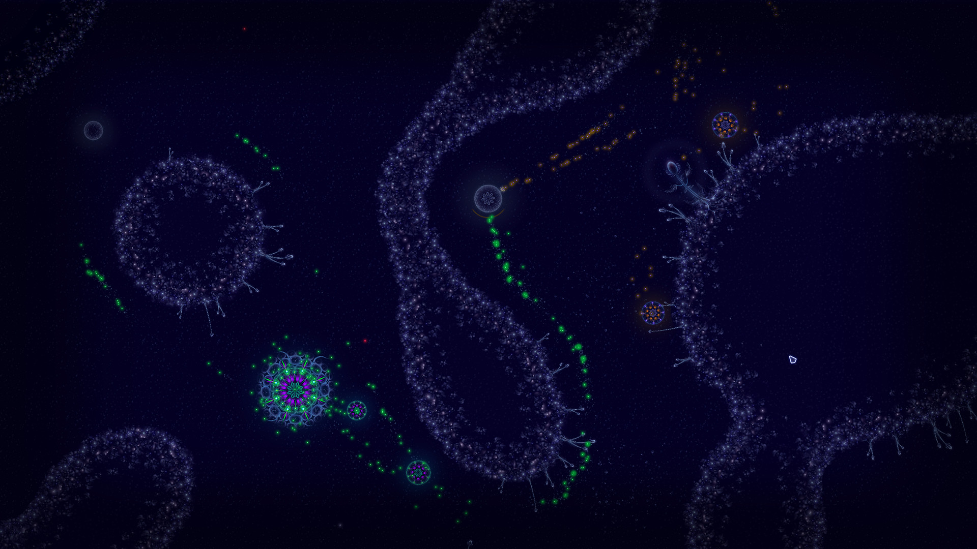 Microcosmum: survival of cells #20