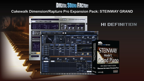 скриншот Digital Sound Factory - Steinway HD 0