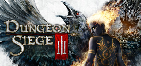 Dungeon Siege III Cover Image