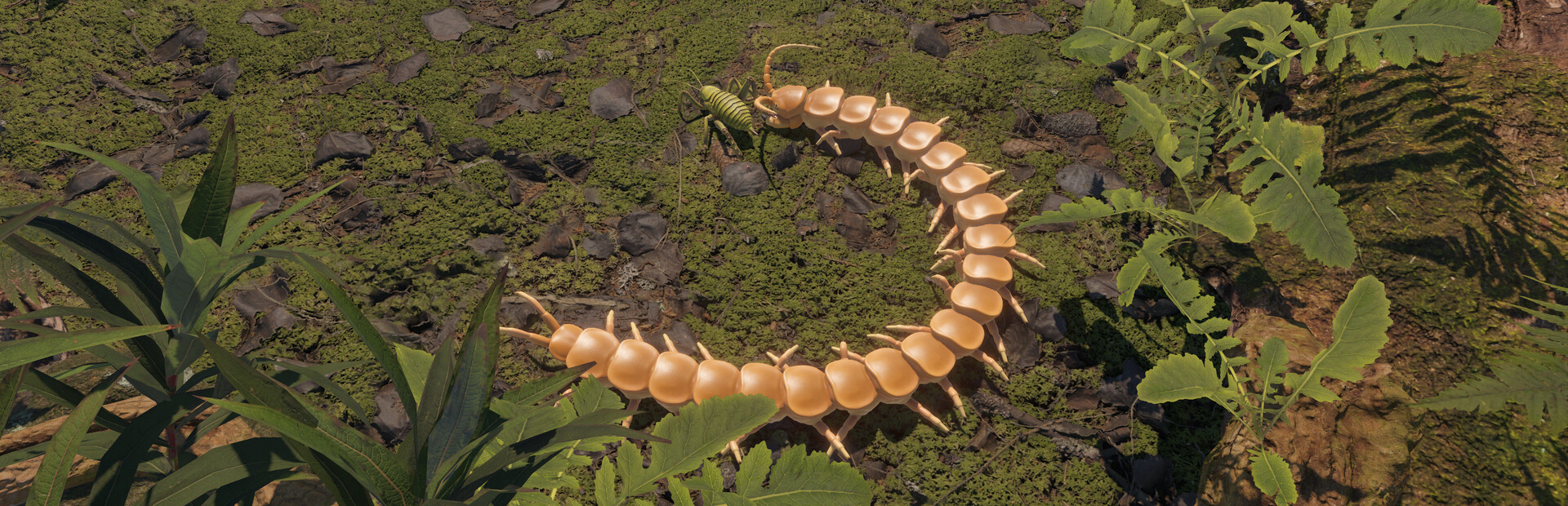 Library Hero - Steam library hero banner