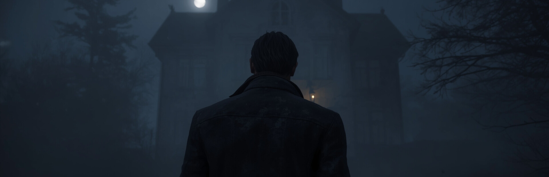 Library Hero - Steam library hero banner