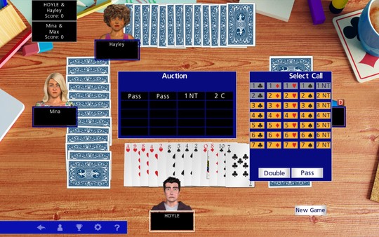 скриншот Hoyle Official Card Games 3