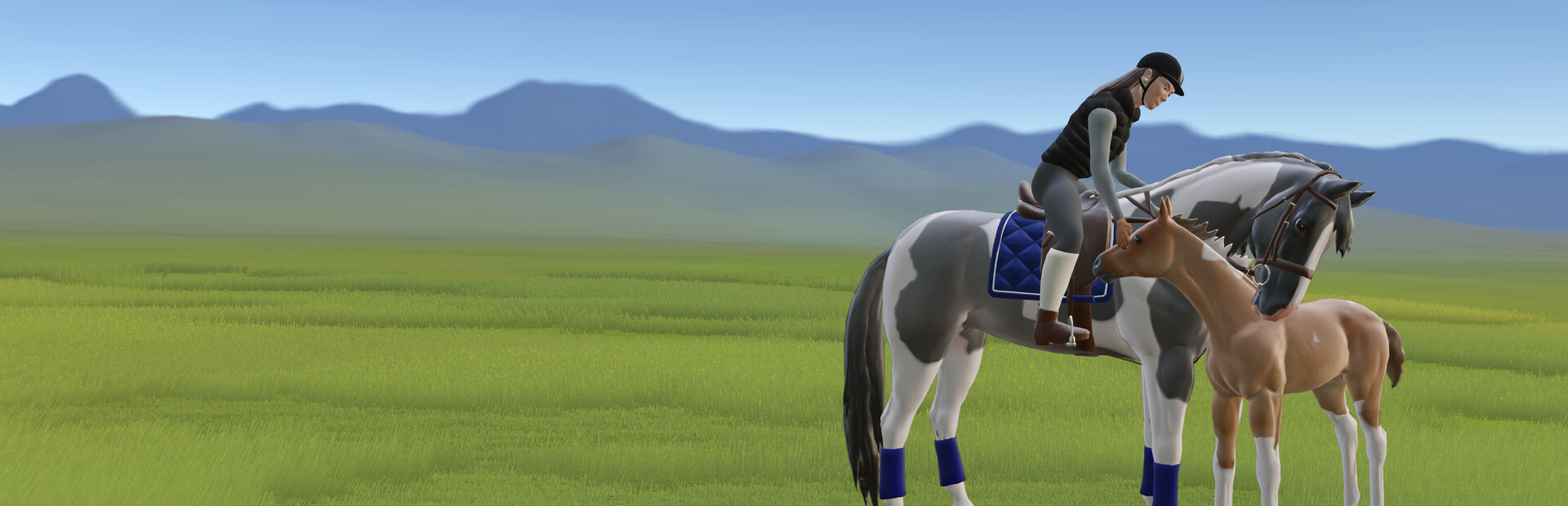 Library Hero - Steam library hero banner