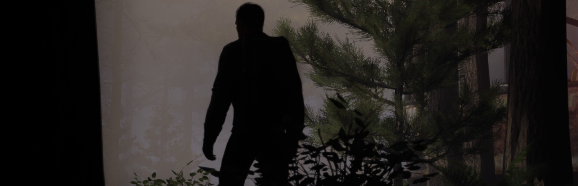 Library Hero - Steam library hero banner