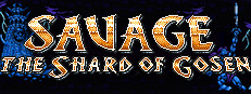 SAVAGE: The Shard of Gosen 게임 이미지