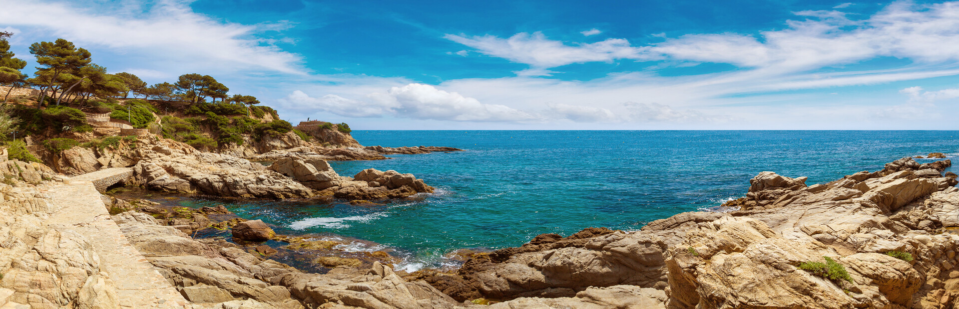 Library Hero - Steam library hero banner