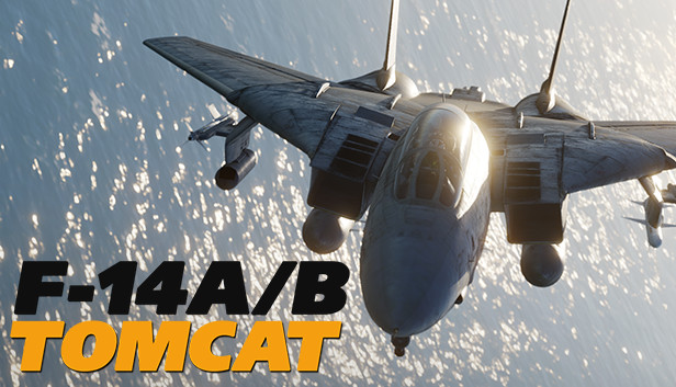 DCS: F-14A/B Tomcat on Steam