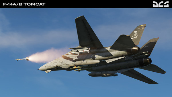 DCS: F-14 by Heatblur Simulations