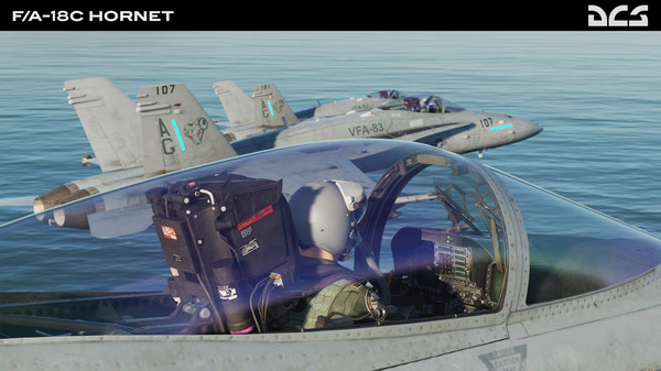 скриншот DCS: F/A-18C Hornet 2
