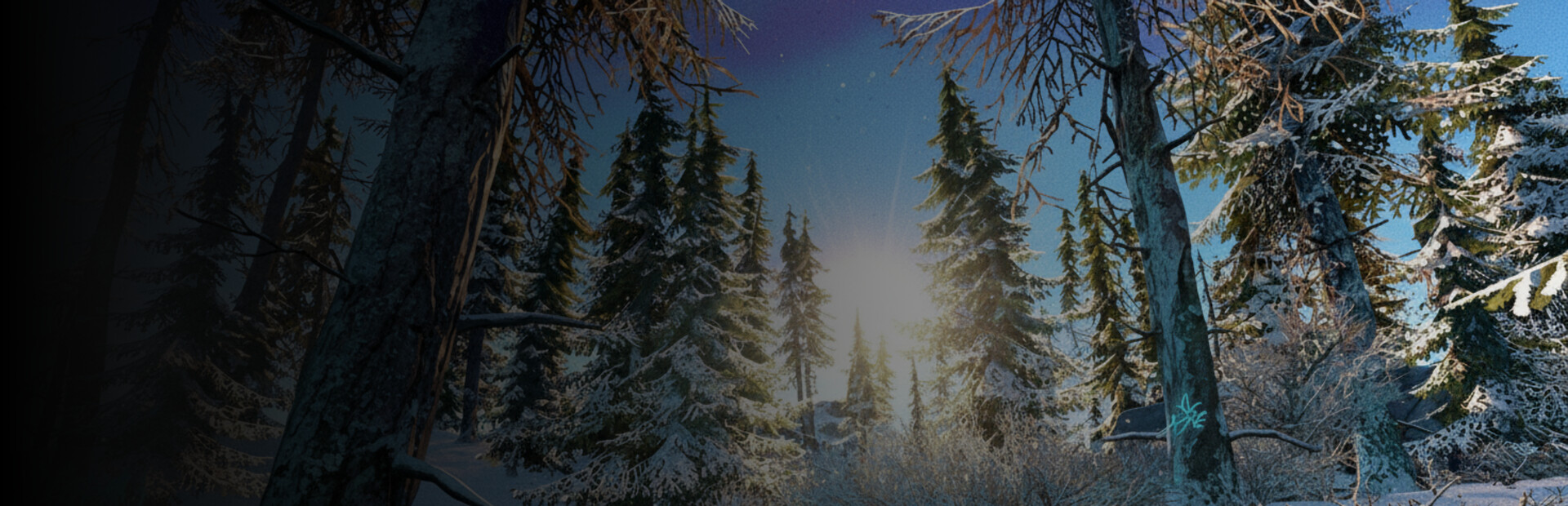 Library Hero - Steam library hero banner