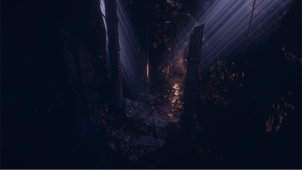 Rothschild: The Sheep Will Wake