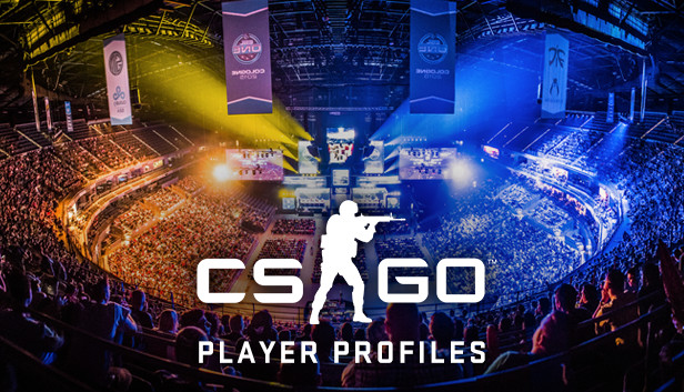 Counter strike global offensive themed profile picture for a male