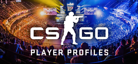 Cs go player profiles что это