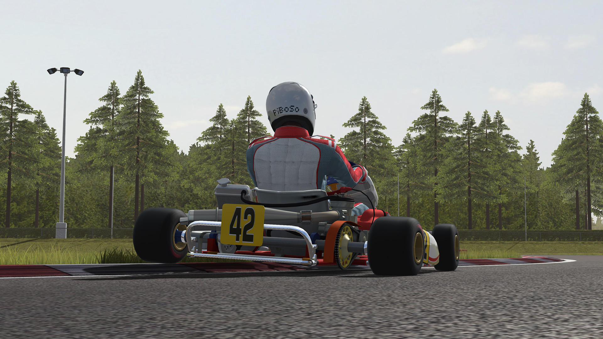 Kart racing steam (114) фото