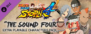NARUTO SHIPPUDEN: Ultimate Ninja STORM 4 - The Sound Four Characters Pack