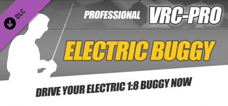 VRC PRO Electric 1:8 Buggy banner image