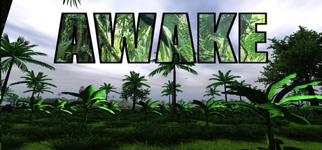 AWAKE Cover Image