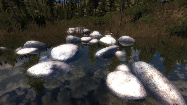 скриншот Leadwerks Game Engine: Nature Model Pack 4