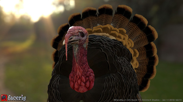 скриншот IRFaceRig Real Turkey 0
