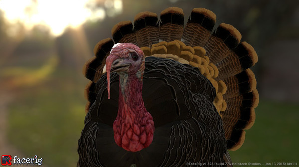 IRFaceRig Real Turkey