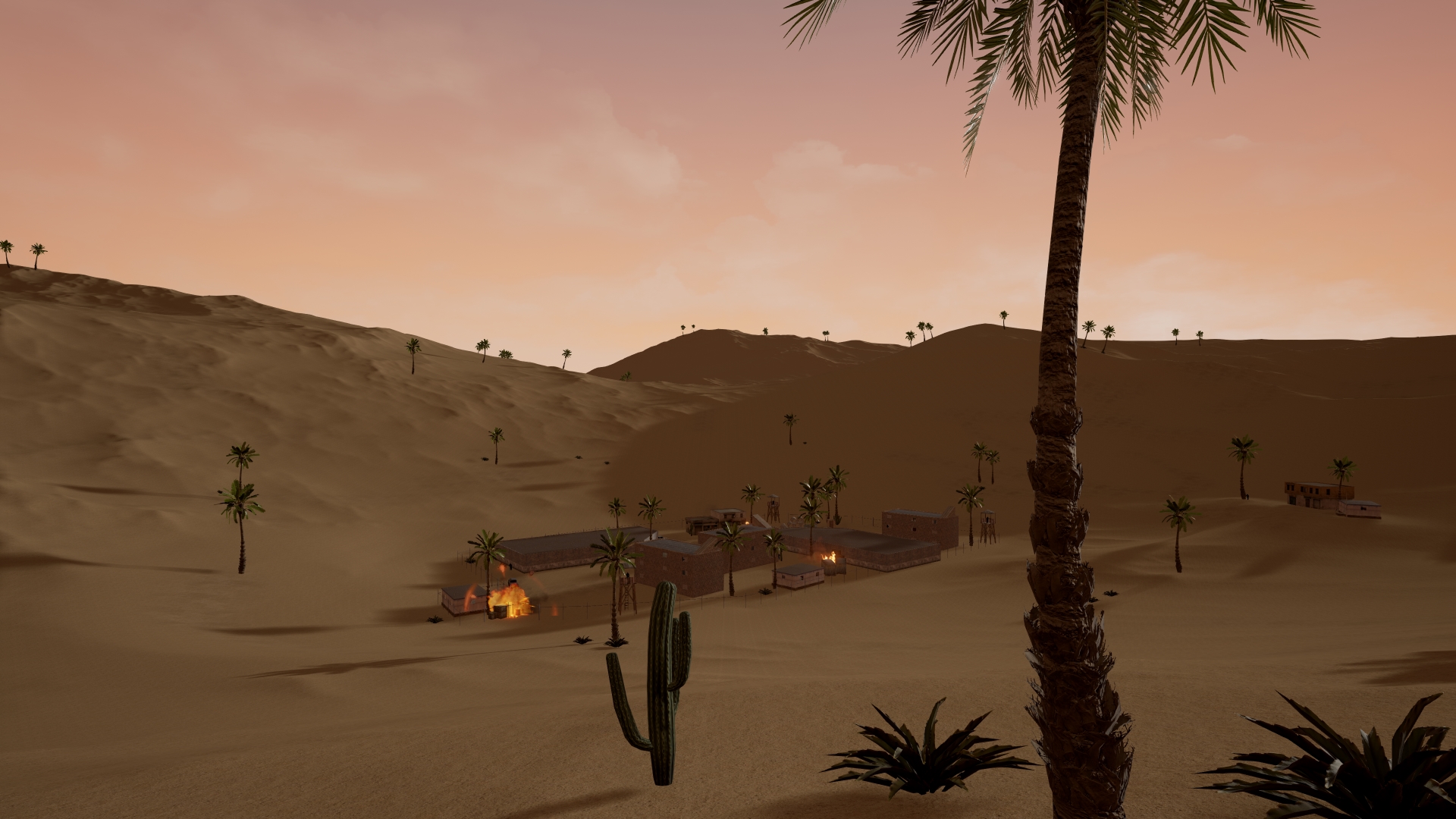 Palm desert steam фото 3