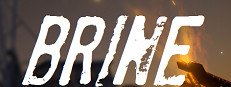 Brine 게임 이미지