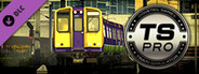 Train Simulator: London Overground BR Class 313 EMU Add-On