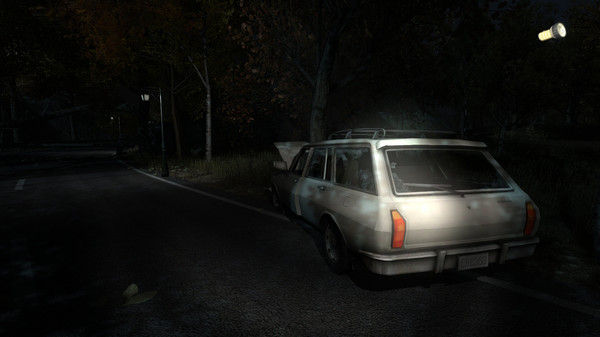 The Secret of Pineview Forest