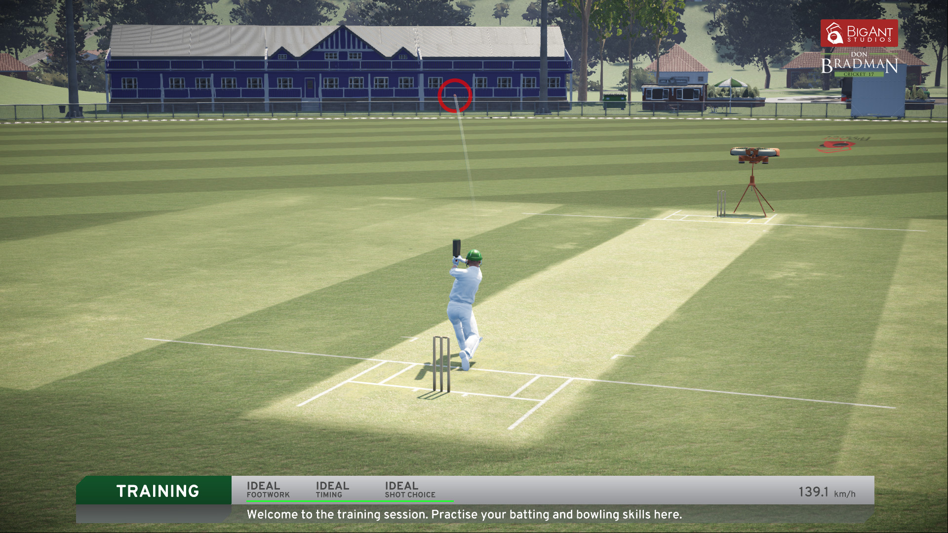 don bradman cricket free download