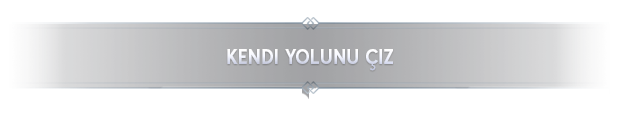 ownpath_turkish.png