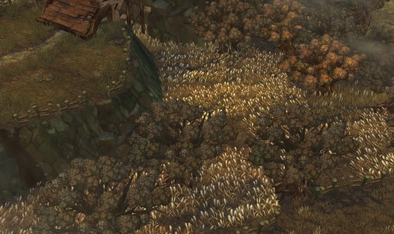 Tree of Savior - Beginner's Pack for EU Servers screenshot 15
