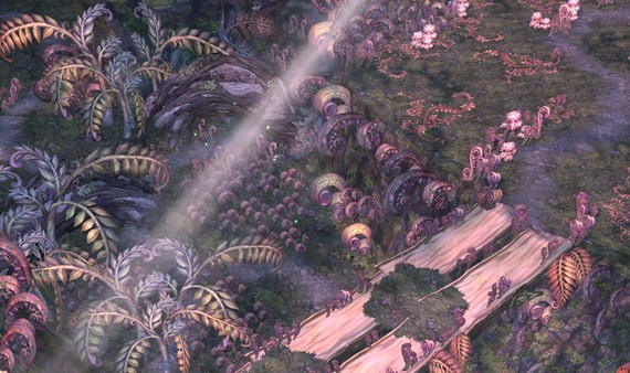 Tree of Savior - Beginner's Pack for EU Servers screenshot 17