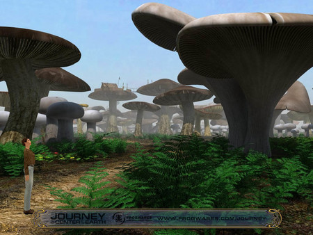 Journey to the Center of the Earth